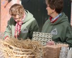 Lammetjes knuffelen op de markt